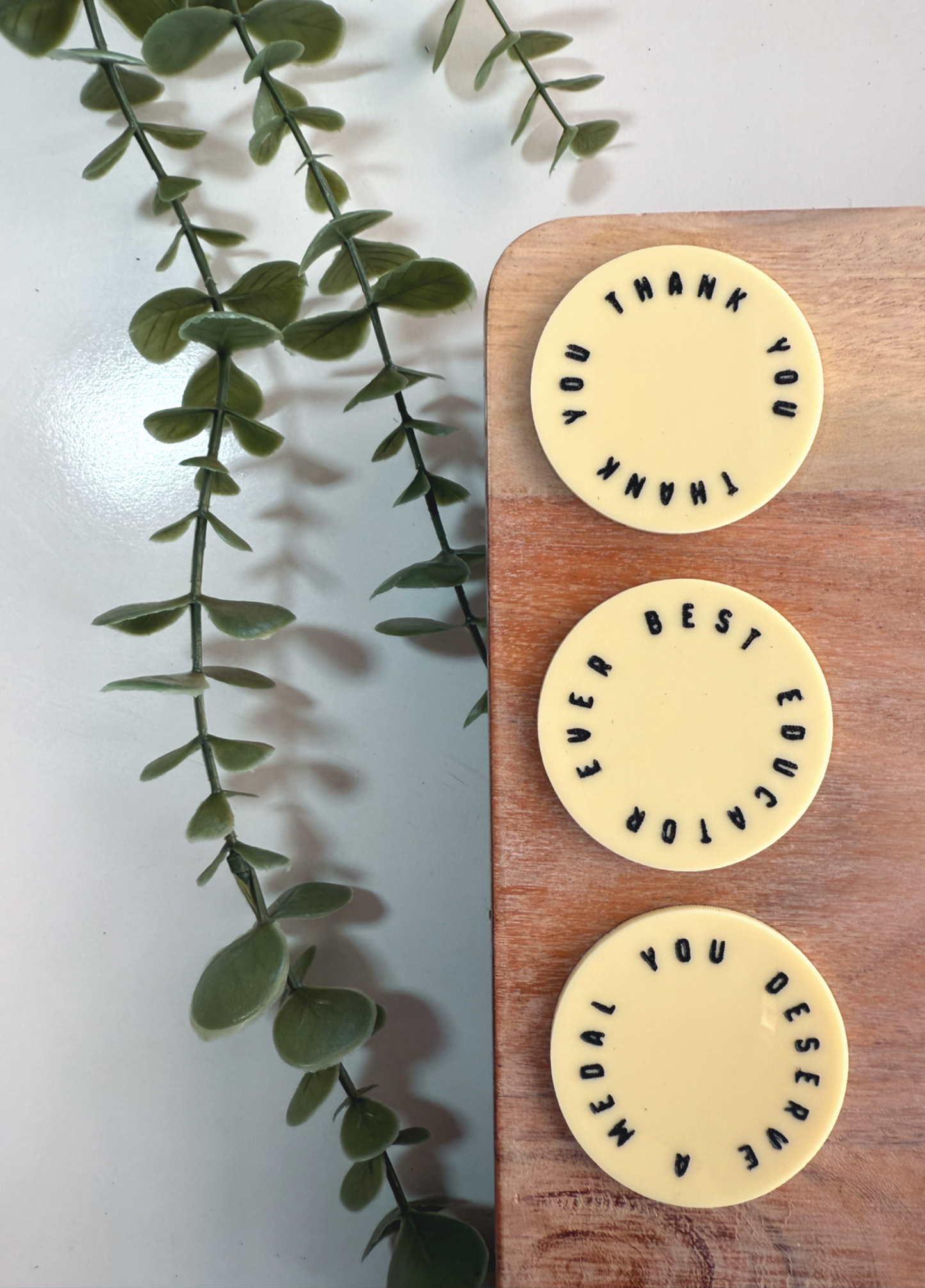 Magnet Set | Best Educator Ever