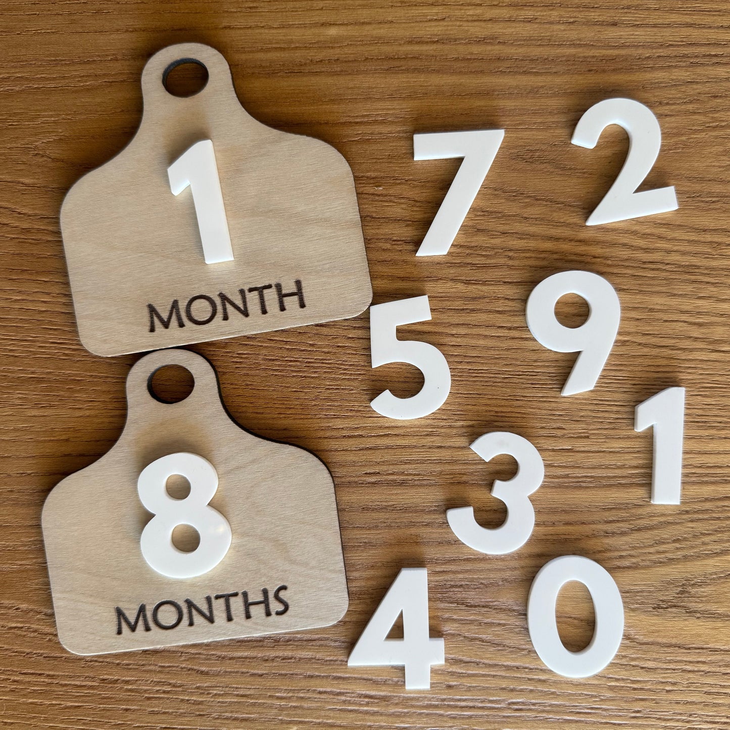 Birch w/ White Cattle Tag Interchangeable Milestone Set - Ready Made